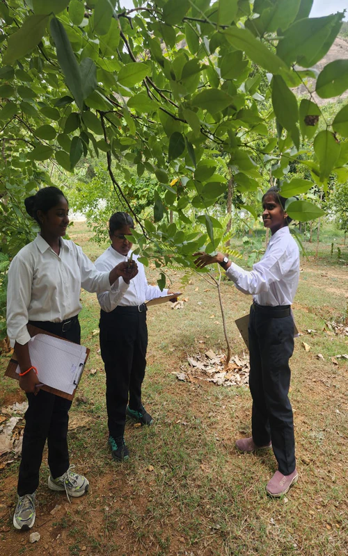 Curiosity Walk – Biology in Action