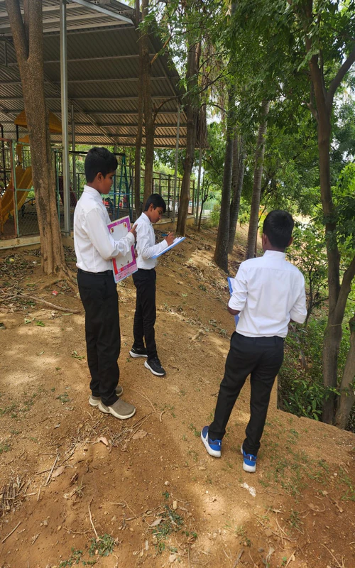 Curiosity Walk – Biology in Action