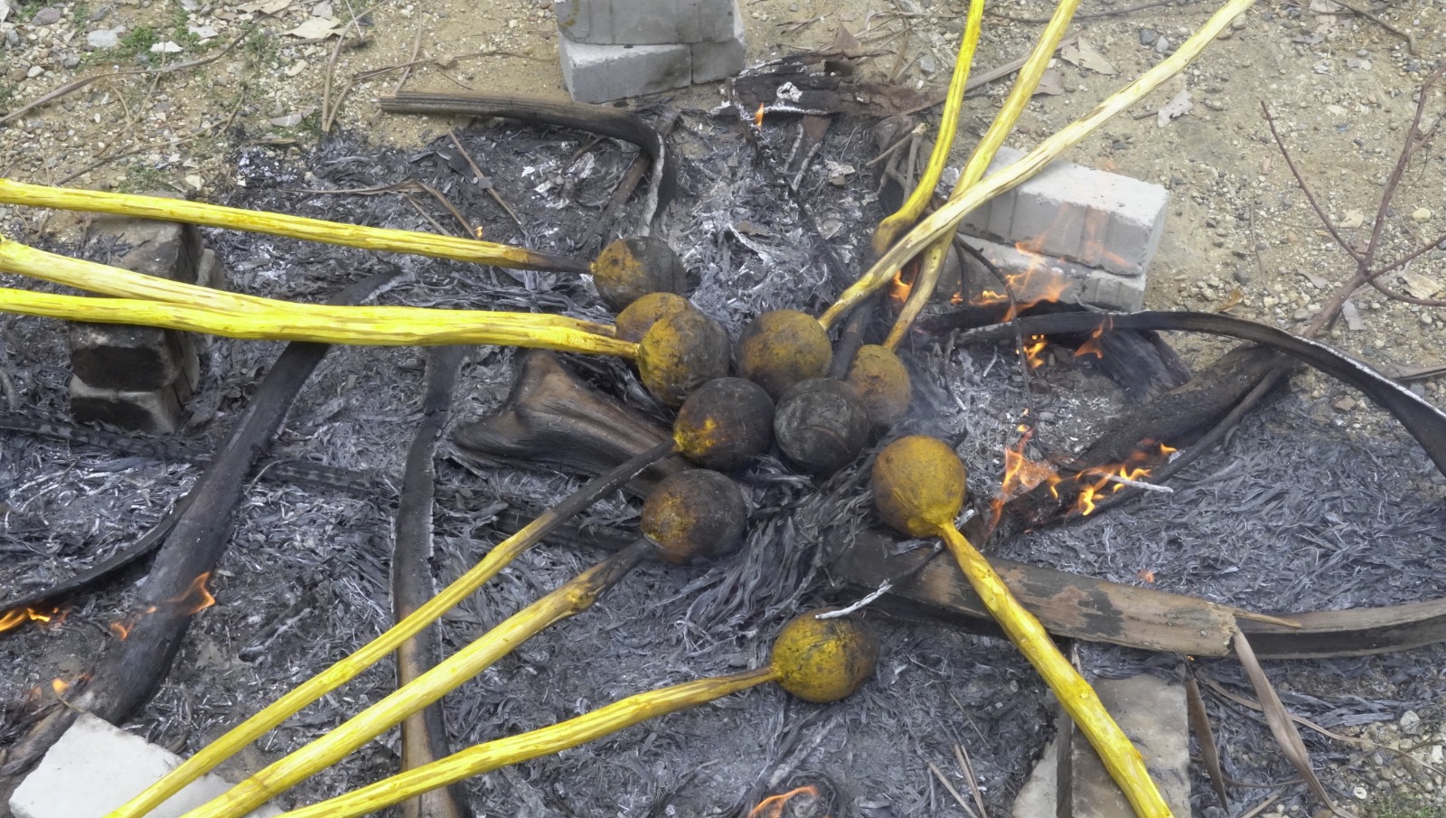 Aadi First Day Coconut Roasting Festival