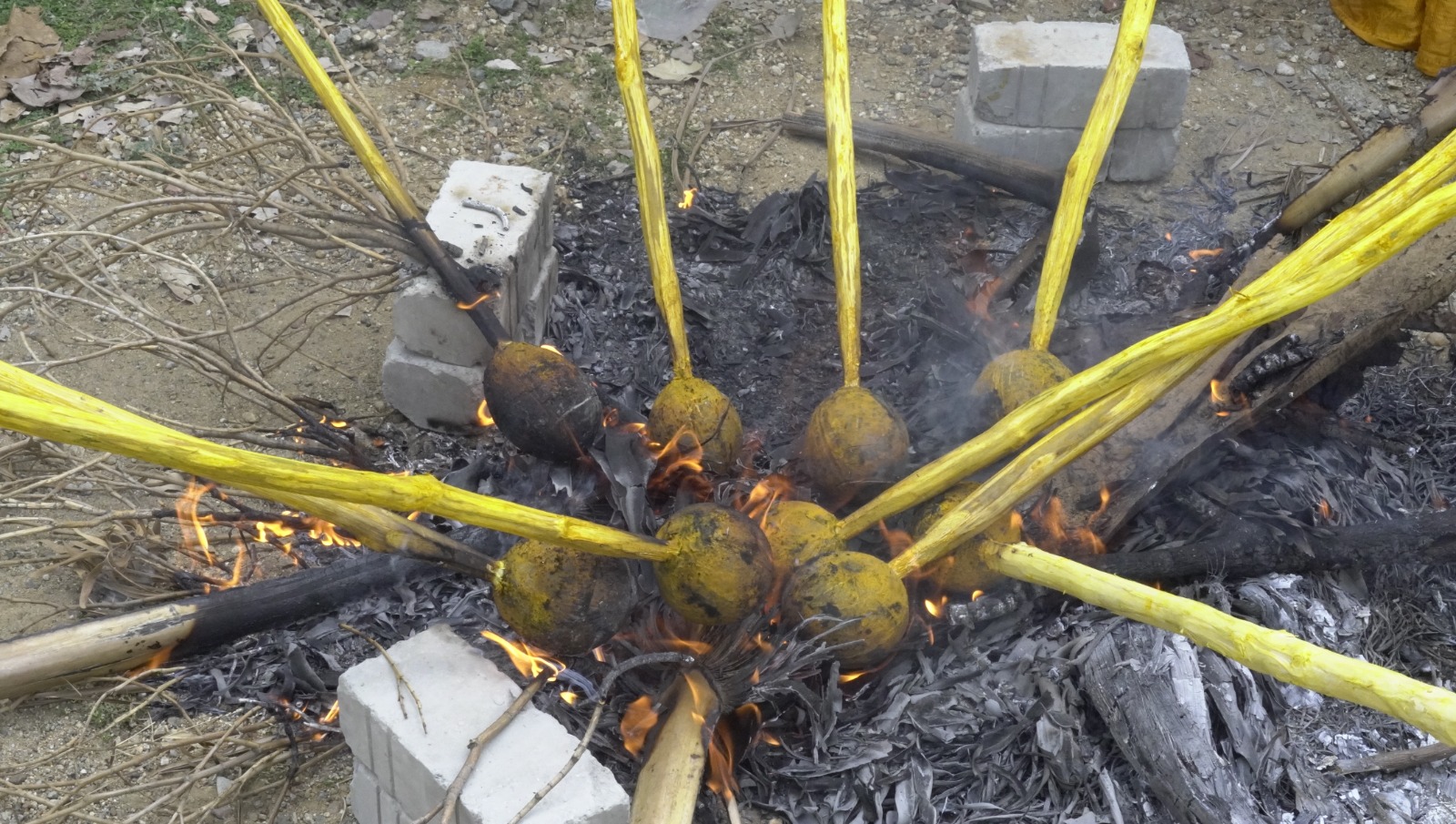 Aadi First Day Coconut Roasting Festival