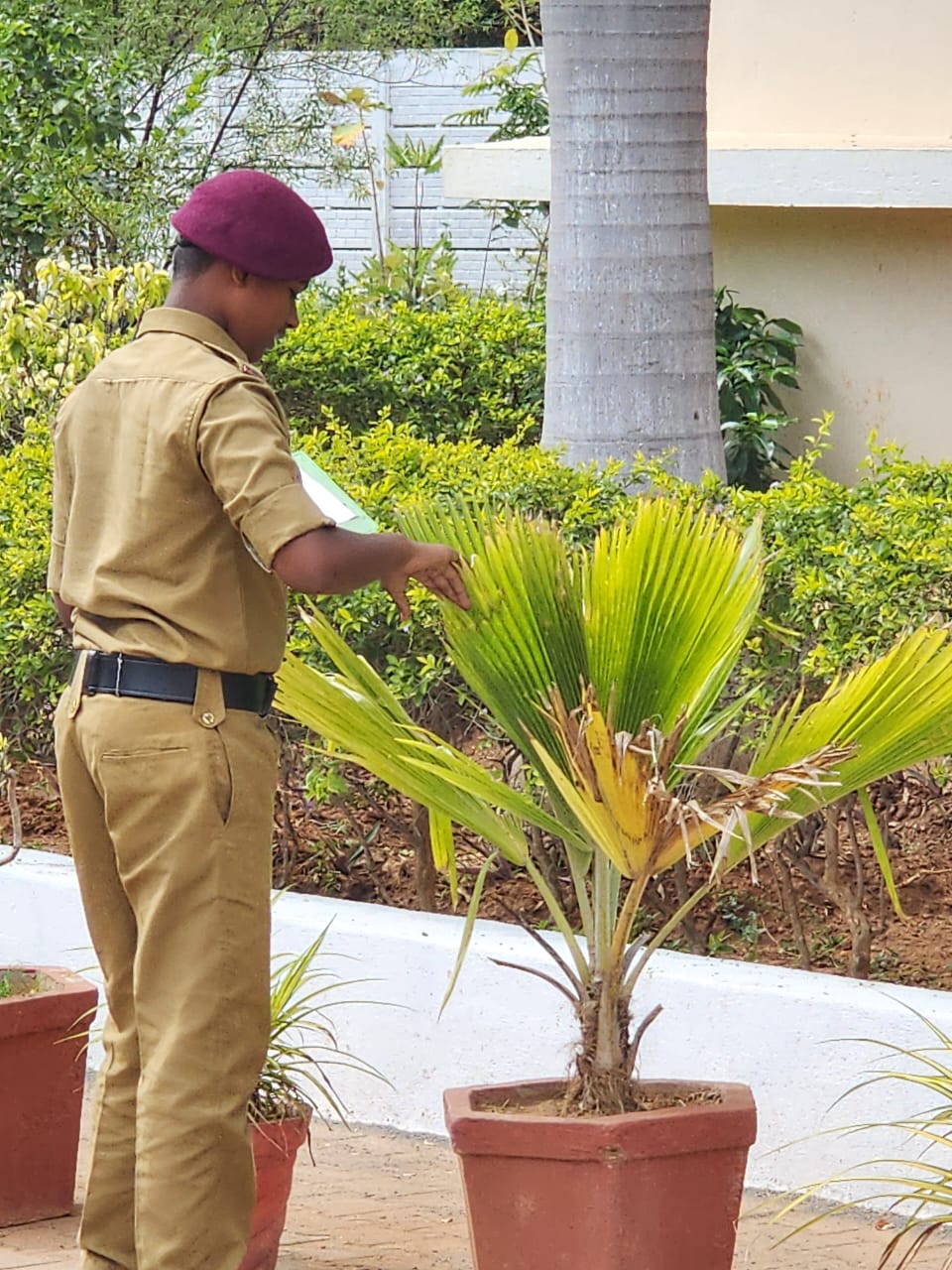 Eco Club - Nature Hunt Activity
