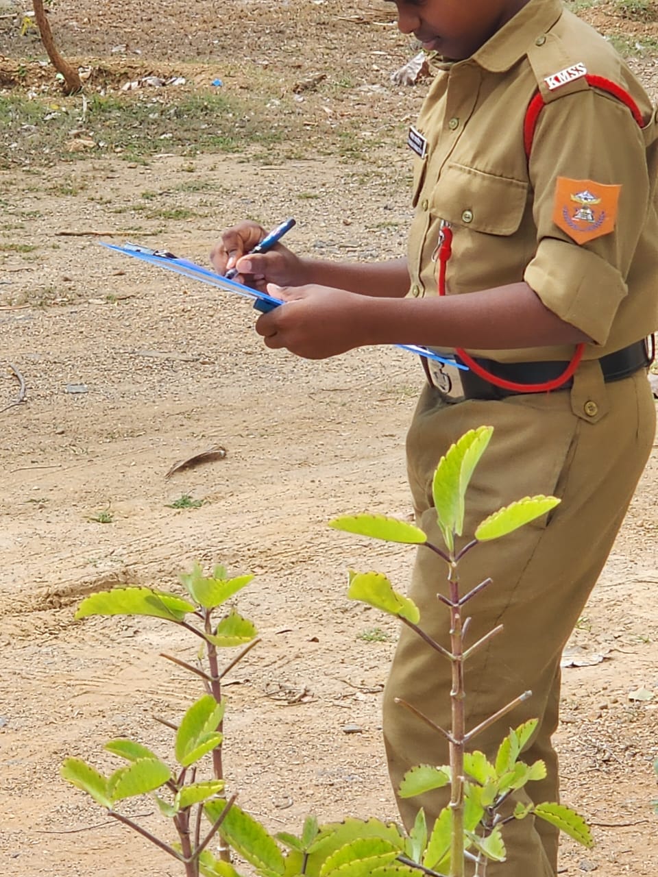 Eco Club - Nature Hunt Activity