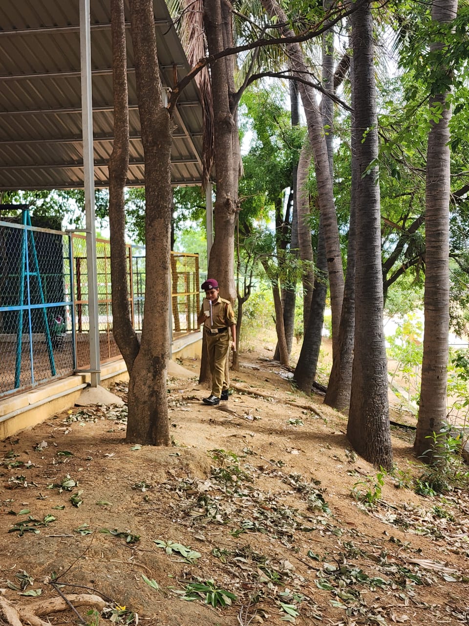 Eco Club - Nature Hunt Activity