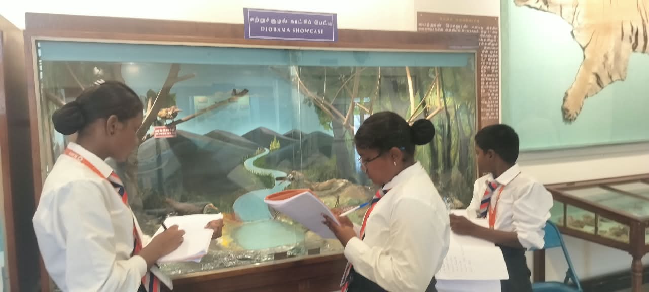 Our cadets of Grades VI & VII visited the Salem District Government Museum as part of their educational visit